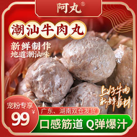 严选 | 阿丸潮汕牛肉丸250g*6袋+牛筋丸250g*2袋(配沙茶酱)【潮汕特产】