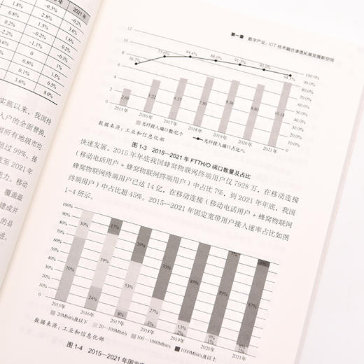 数字中国：洞察产业数字化发展新趋势 数字经济 信息化战略互联网智慧医疗信息消费 商品图3