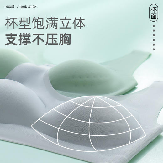 夏季无钢圈，冰感洞洞杯背心式胸罩显胸小文胸 商品图3