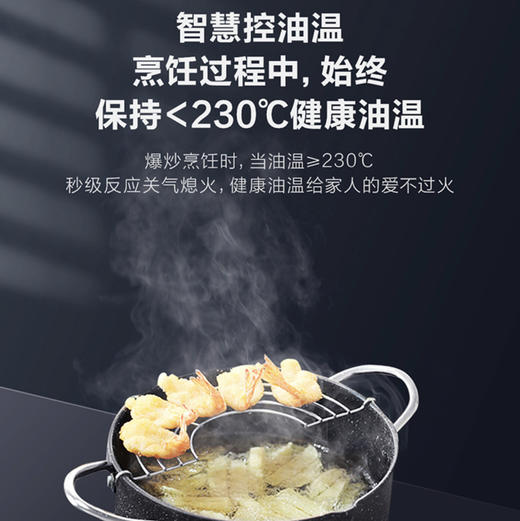 海尔（Haier）灶具 JZT-QHA938U1(12T) 商品图4