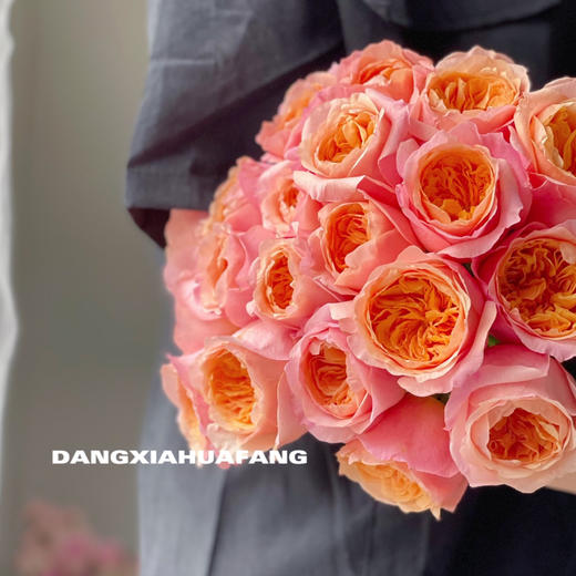 【AB级维多利亚的秘密玫瑰】10支/份 买2份减20元 长约60-65cm 商品图2