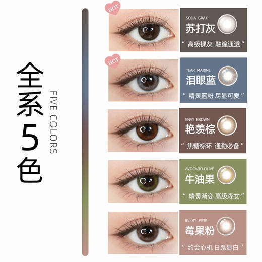 【6盒199】AMIEO 1 day 日本原版海淘美瞳 日抛10片装 MYUMYU日本直送 商品图13