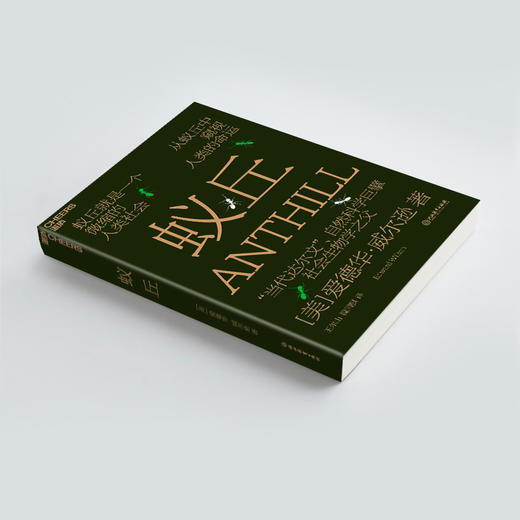 湛庐丨蚁丘 商品图2