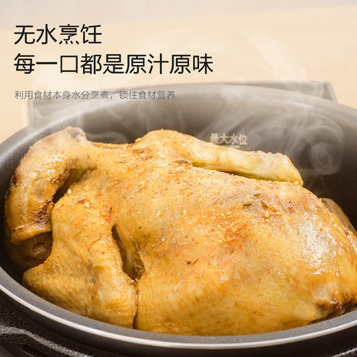 日本IRIS爱丽思 电压力锅 家用小型电高压锅 饭煲 火锅 自动排气 商品图3