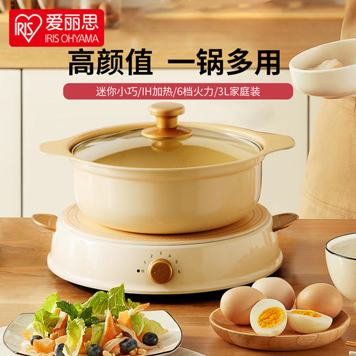 日本爱丽思 电磁炉火锅 家用陶瓷电热小火锅 电煮锅 不粘锅套装IHL-R14C 商品图0