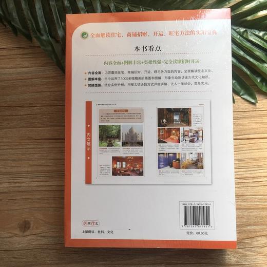 图解完全读懂招财开运 中国家居生活百科1001问 解读住宅文化 招财旺运习俗古代星象学 客厅阳台卧室布局风水大 传统文化正版 商品图3