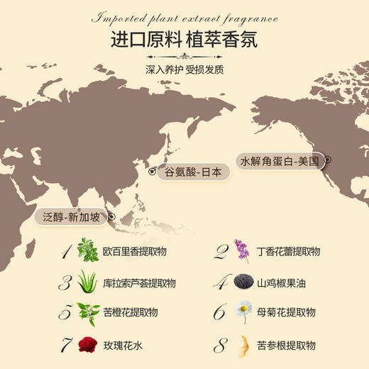 【VIP】芭思蔻 邂逅香氛去屑洗发水/沐浴露(伊丽莎白)500ml  商品图1