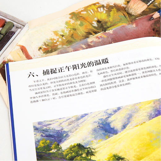 (仓发) 西方绘画技法经典教程:色粉画的光与影/上海书画出版社/[美]玛姬·普莱斯/9787547921371 商品图4