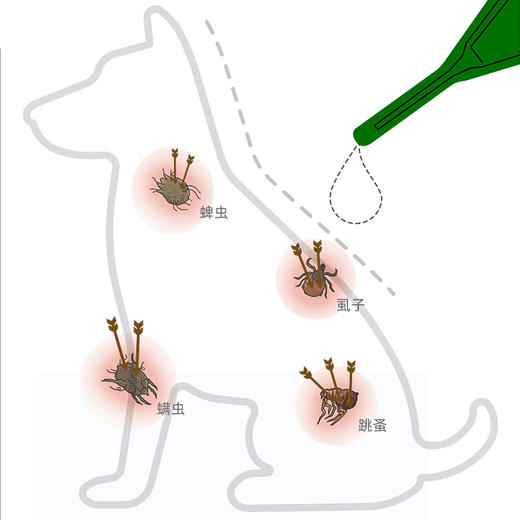 新宠之康非泼罗尼滴剂 犬猫体外驱虫 30天长效 温和安全 GMP认证 商品图7