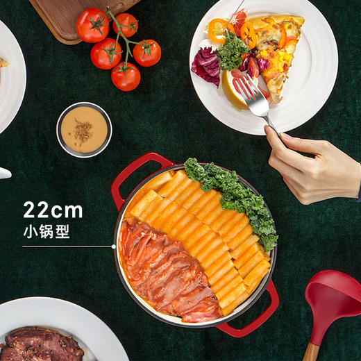 美珑美利 缤彩C+珐琅铸铁锅汤锅提香红26cm 商品图1