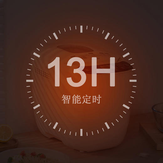 日本爱丽思面包机 家用全自动小型和面 IRIS发酵馒头揉面早餐IBM-020 商品图4