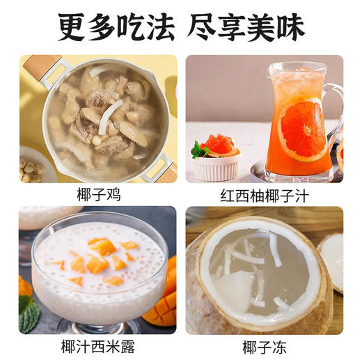 cocomax椰子水350ml 商品图4