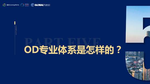 第5节——OD专业体系是怎样的？ 商品图0