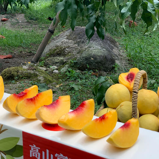 【24年新果】湖南炎陵黄桃5斤7-12枚  顺丰京东发货  商品图4
