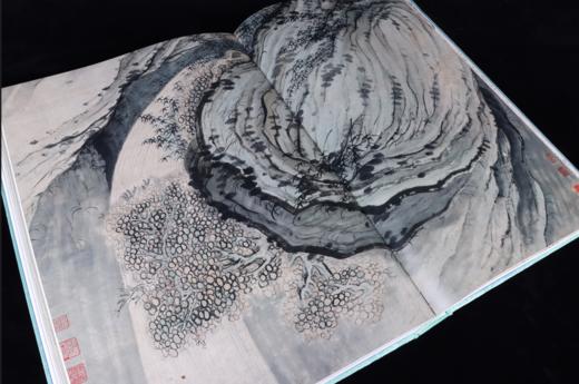 清画全集 第十卷 石涛 中国历代绘画大系 全8册 浙江大学出版社 商品图7