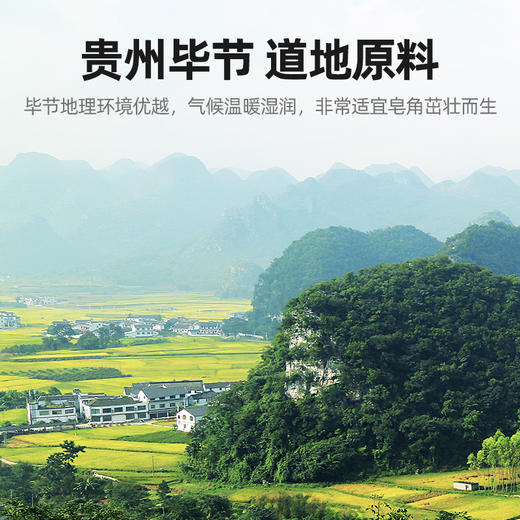 【杞里香双荚皂角米】贵州毕节皂米角60g  100g  225g精挑手剥 胶质浓稠 粒粒晶莹 商品图1