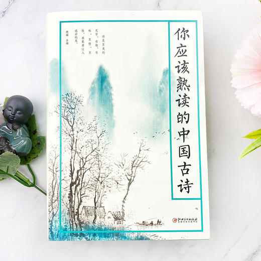 【10-18岁】《你应该熟读的中国古诗+古文》（全3册）古典作品集赏析书籍【7.25-7.31】 商品图1