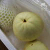 生态香瓜  | 合作生产*Ecological cantaloupe | Coproduction 商品缩略图7