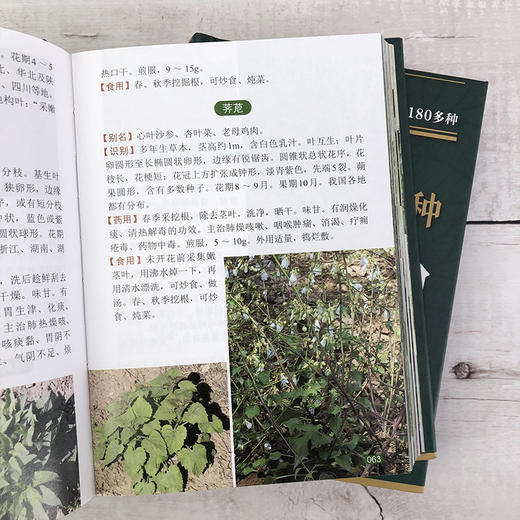 700种植物野外识别速查图鉴 商品图5