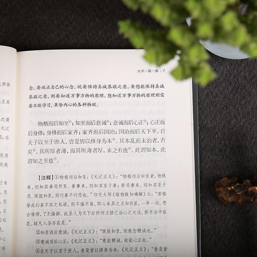 (仓发) 大学中庸 全本全注全译新版本谦德国学文库国学经典藏书/团结出版社/9787512645813 商品图3