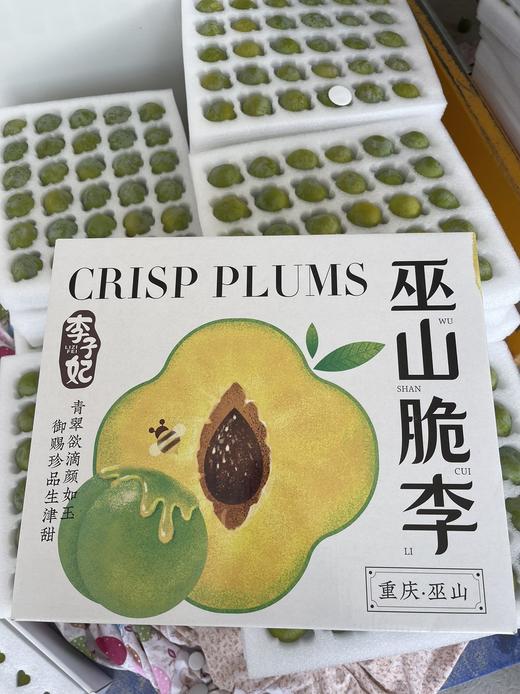 李子妃巫山脆李 （60枚） 商品图2