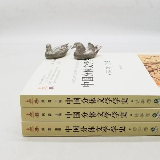 《中国分体文学学史：诗学卷》，全三册，小16开，周兴陆著，山西教育出版社2013年版，定价148，售价50元，非偏远地区包邮。

《中国分体文学学史》分诗、词、散文、小说、戏剧五种，主要从“学”与“术 商品图1