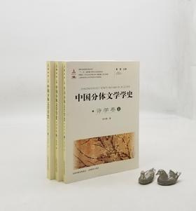《中国分体文学学史：诗学卷》，全三册，小16开，周兴陆著，山西教育出版社2013年版，定价148，售价50元，非偏远地区包邮。

《中国分体文学学史》分诗、词、散文、小说、戏剧五种，主要从“学”与“术