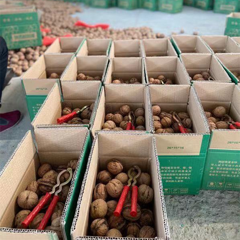 7f86a5eb68c93ebcecf664fcb9fba4