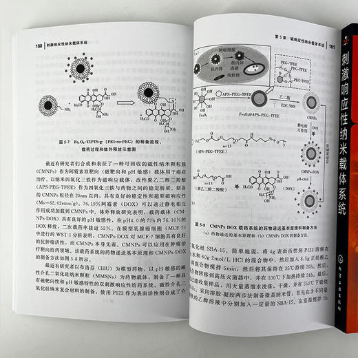 刺激响应性纳米载体系统 商品图6