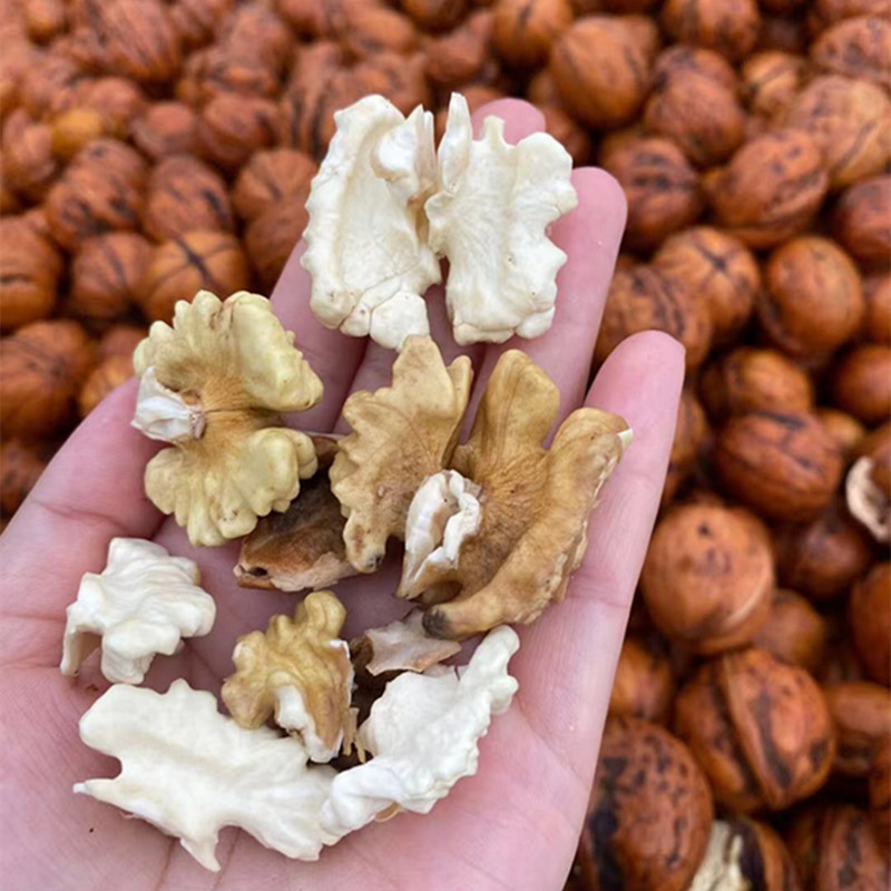 ad7522958142dac791a219e7509c84