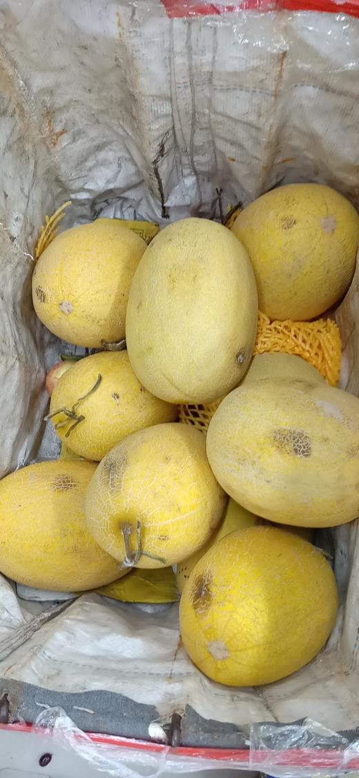 活动哈密瓜一个（拼团） 商品图0