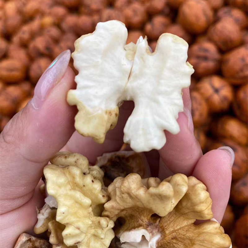 c2c420b95d23cebb93f208cb689792