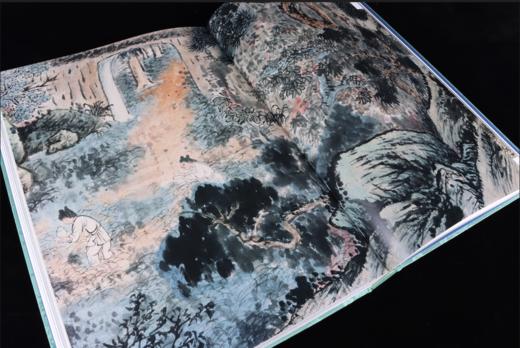 清画全集 第十卷 石涛 中国历代绘画大系 全8册 浙江大学出版社 商品图4