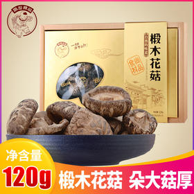 椴木花菇  干货朵大  肉厚食用菌 120克（纸盒装）