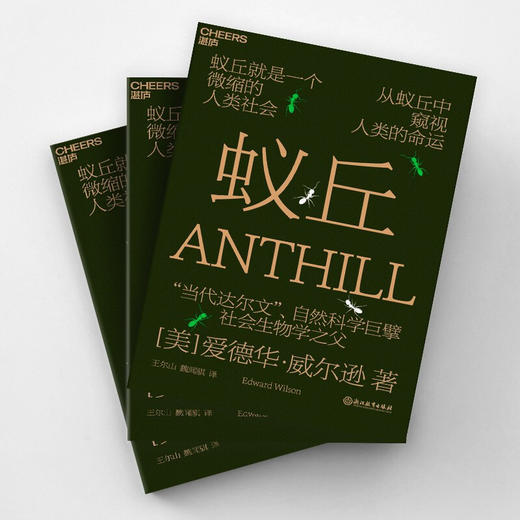 蚁丘 爱德华·威尔逊 著 小说 商品图1