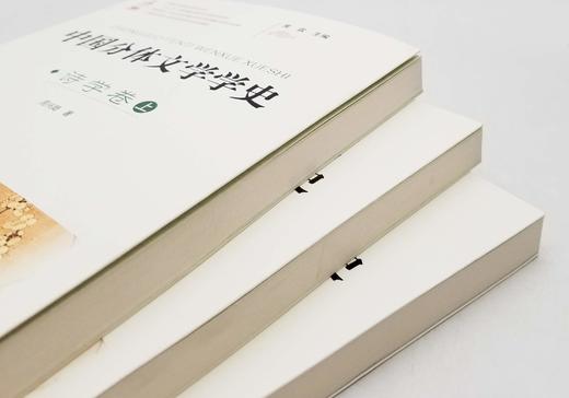《中国分体文学学史：诗学卷》，全三册，小16开，周兴陆著，山西教育出版社2013年版，定价148，售价50元，非偏远地区包邮。

《中国分体文学学史》分诗、词、散文、小说、戏剧五种，主要从“学”与“术 商品图2