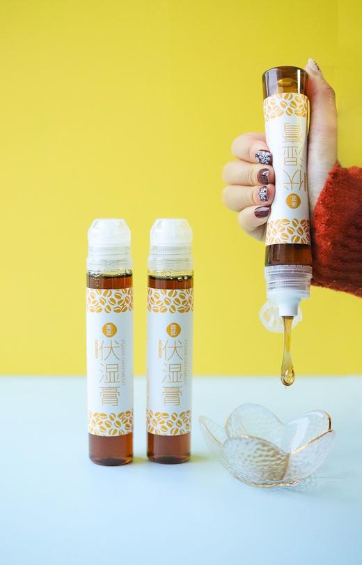 伏湿膏| 商品图1