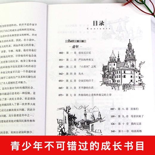 (仓发) 童年 在人间 我的大学 中小学生课外阅读书籍世界经典文学名著青少年儿童读物故事书名家名译原汁原味/北京日报出版社/高尔基/9787547721445 商品图2