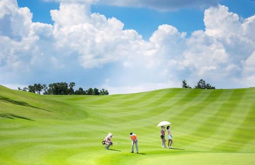 广东江门鹤山高尔夫套票 商品图0