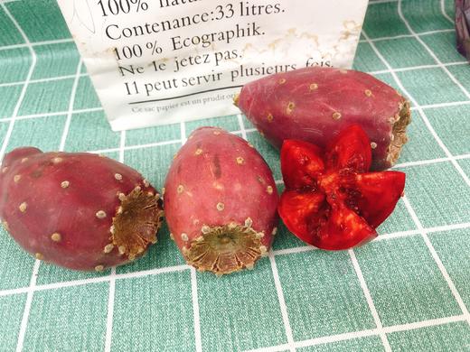 仙人掌果一斤（拼团） 商品图0