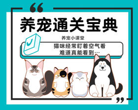 猫咪经常盯着空气看，难道真能看到…