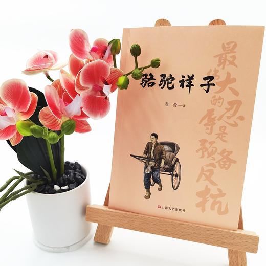 骆驼祥子 商品图1