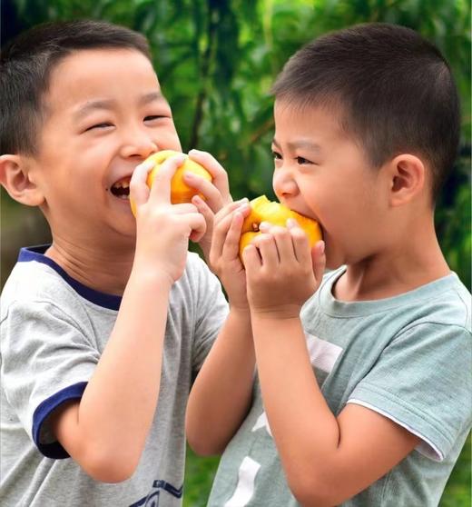 【24年新果】湖南炎陵黄桃5斤7-12枚  顺丰京东发货  商品图8