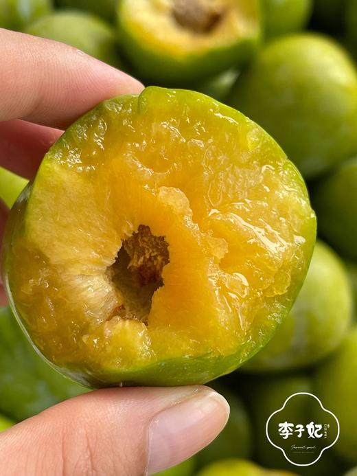 李子妃巫山脆李 （60枚） 商品图1