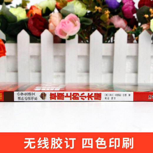 草原上的小木屋注音彩图版名校班主任 8-12岁小学生语文课外阅读书系儿童课外读物少儿成长励志童话故事书青少年畅销书籍 商品图3