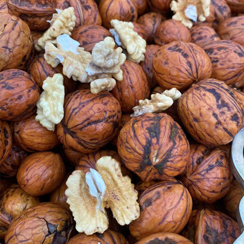 5d72497ef75dbc62ee4fbd54a4a834