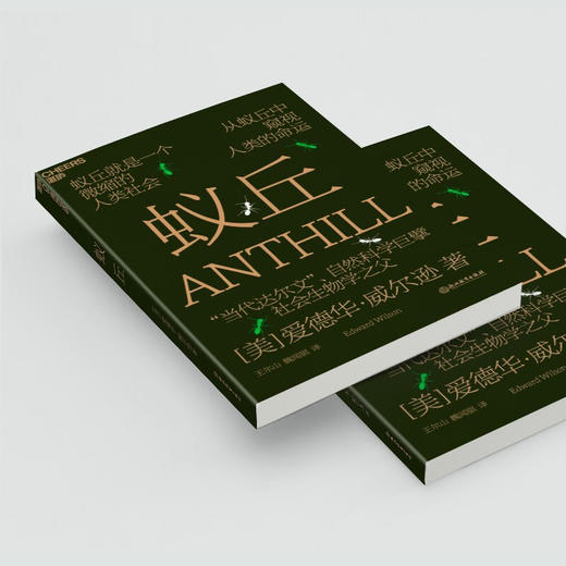 蚁丘 爱德华·威尔逊 著 小说 商品图2