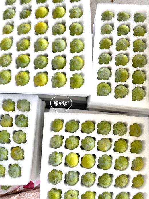李子妃巫山脆李 （60枚） 商品图4