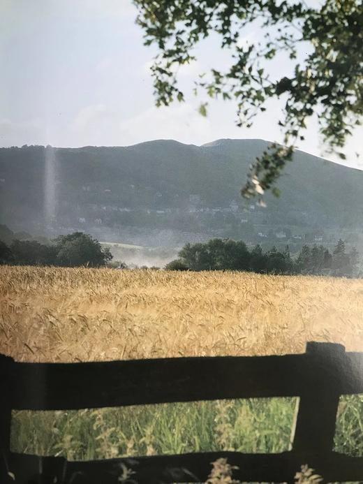 牛津英国与爱尔兰文学指南 约百幅插图 精装16开 商品图9