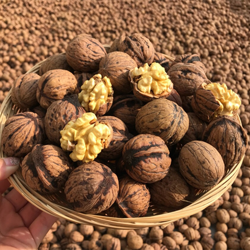 fad3881ad79716ef6cdc420e0e43a3